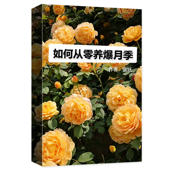 From Zero to Thriving Roses